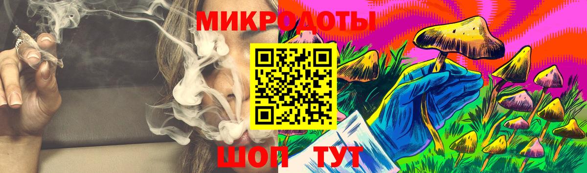 Псилоцибиновые грибы Psilocybe  Вход с VPN  Лениногорск 